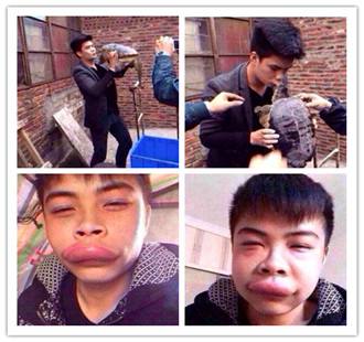 有哪些关于乌龟的冷知识,乌龟的物种介绍