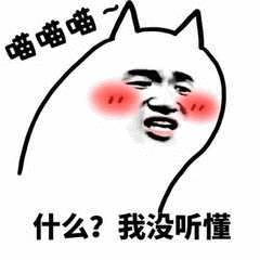 有哪些关于乌龟的冷知识,乌龟的物种介绍