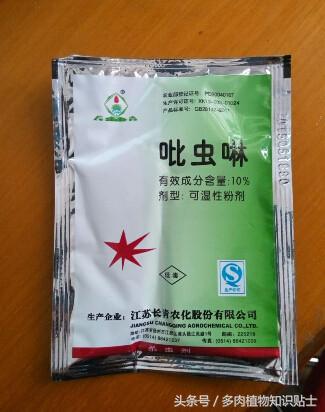 多肉植物有小黑飞怎么办,怎么消灭多肉植物上的白虫