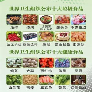 垃圾食品与健康食品饱腹感,垃圾食品与健康食品教案