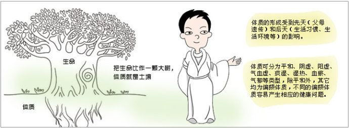 九型体质辨识表,九型体质的鉴定方法