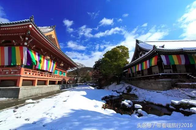 在日本最美的地方生活,在日本无拘无束做自己