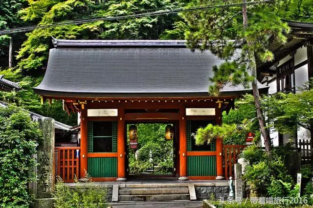 在日本最美的地方生活,在日本无拘无束做自己