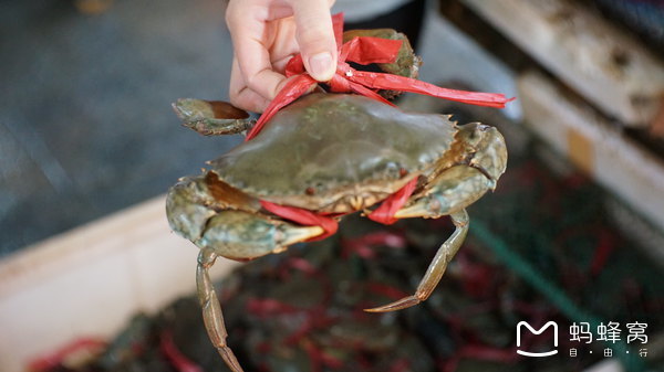 三亚旅游全攻略带孩子必玩,带小孩感受阳光与海滩