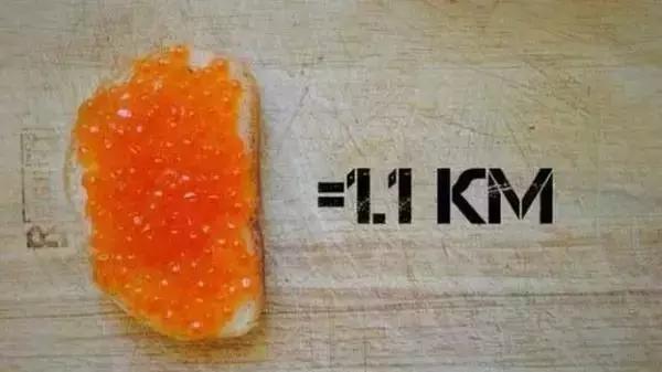 吃什么可以掉脂肪掉得快,吃了很多东西运动有用吗