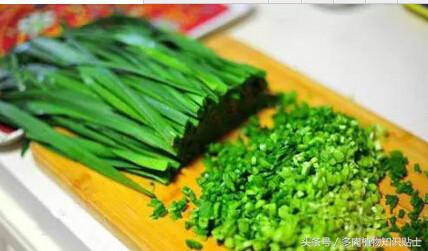 多肉植物有小黑飞怎么办,怎么消灭多肉植物上的白虫