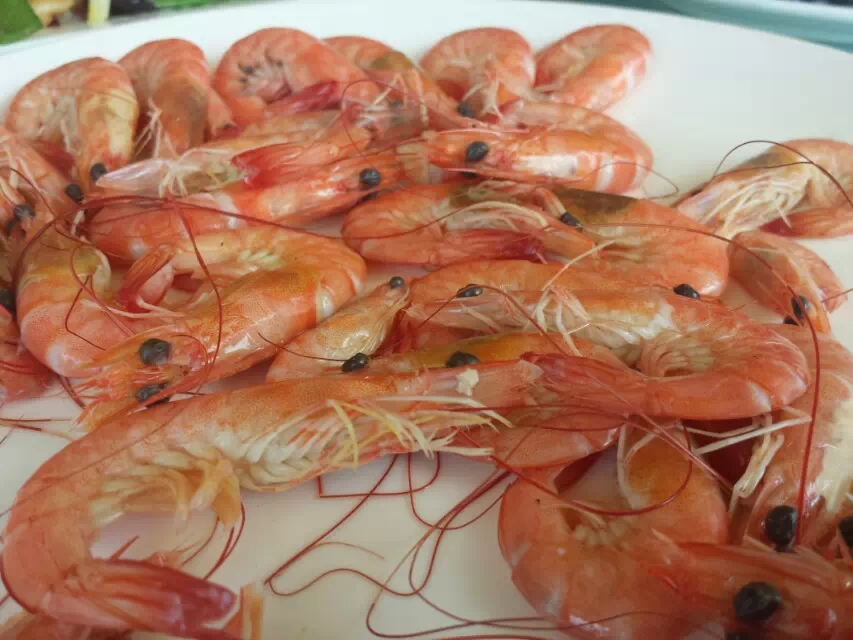 三亚日常生活成本,三亚为什么消费高