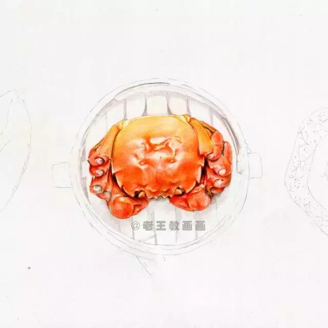 真正的螃蟹不知道怎么画吗,真正的螃蟹是怎么画的