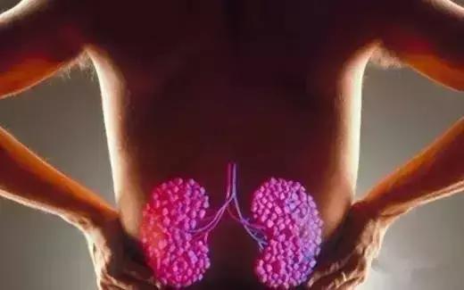 为什么体内寒凉却感觉到燥热,体内寒凉但很燥热