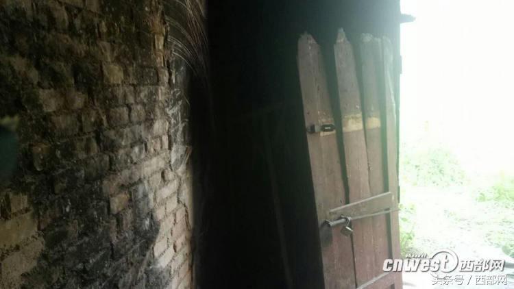 近期民生热线答复一览,关于民生实事难事的热线