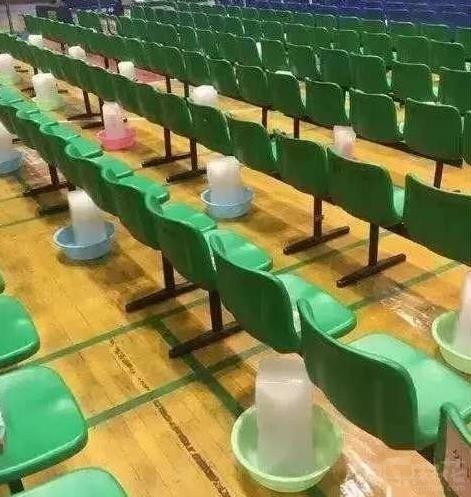 有一个特别搞笑的女生段子,爆笑段子女孩