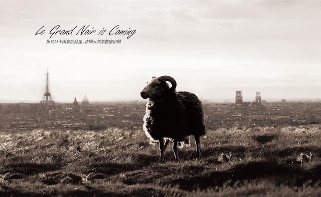 葡萄酒的真假鉴别,干红葡萄酒鉴别真假