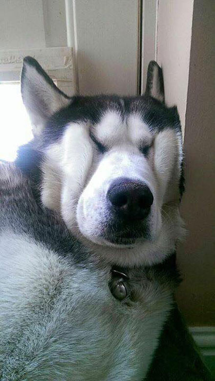 记性不好吃什么,记性不好发朋友圈的幽默句子