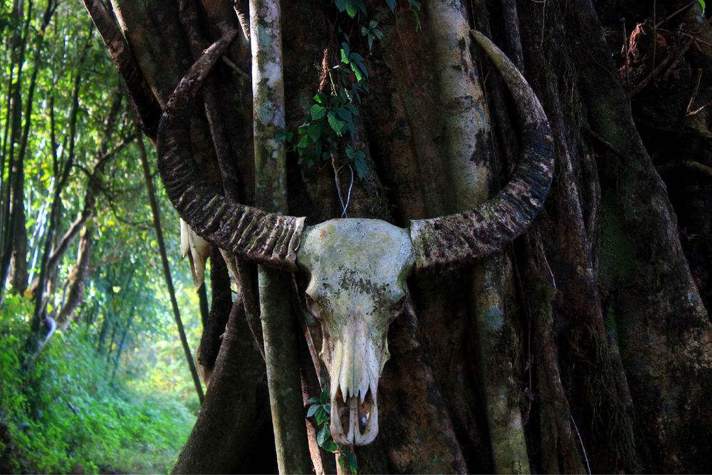 云南沧源翁丁佤寨原始部落,勐来乡到沧源翁丁原始部落几公里