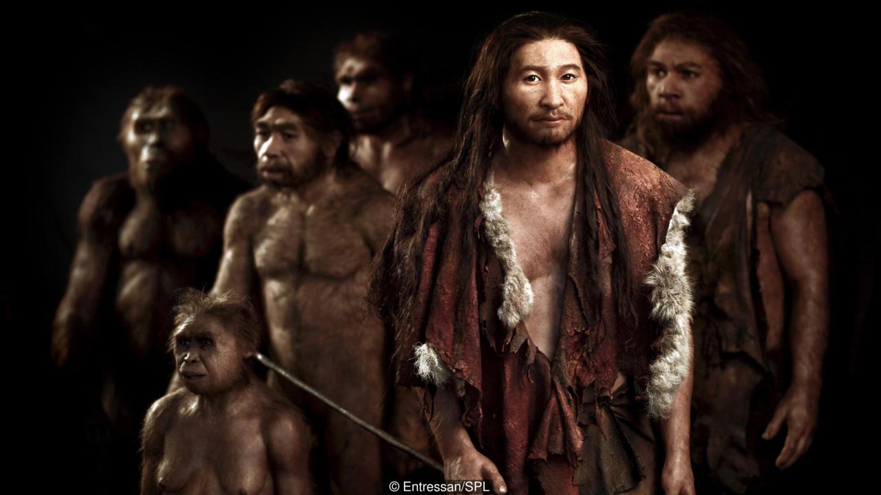 去俄罗斯,推荐买件貂皮带回去!