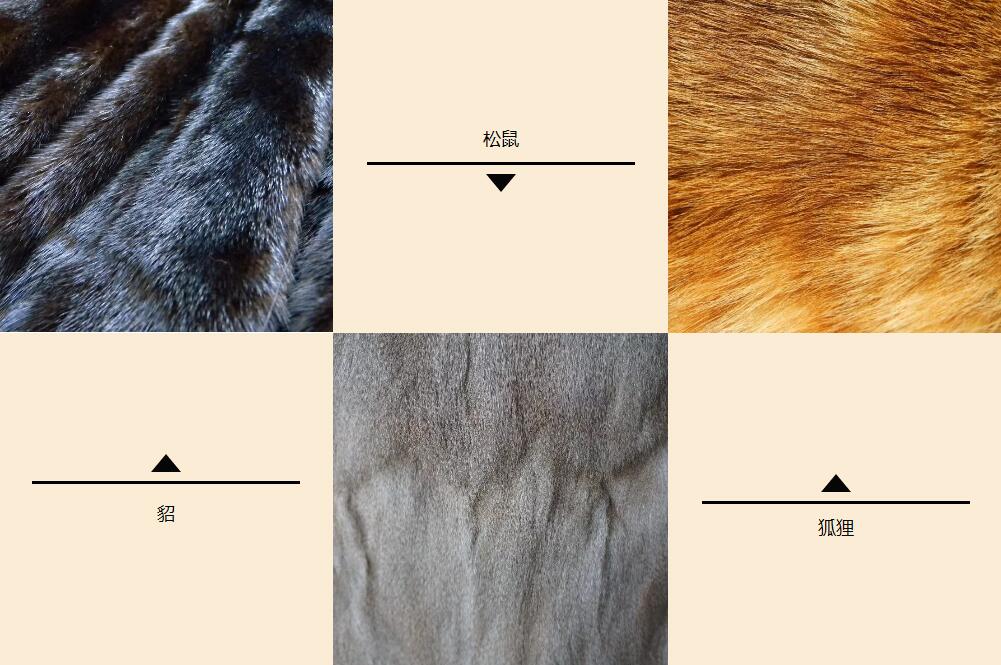 去俄罗斯,推荐买件貂皮带回去!