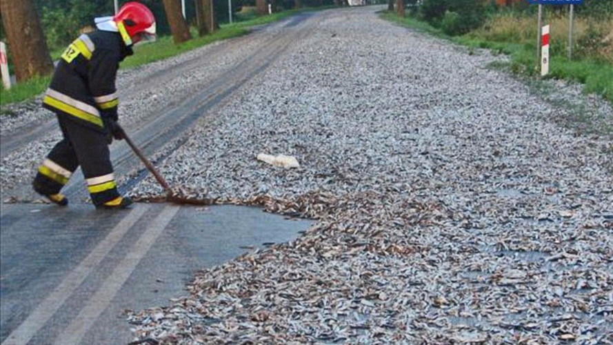 20个触目惊心的车祸现场,各种令人发指的车祸现场