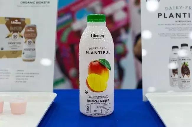 植物蛋白饮料席卷而来,植物蛋白饮料产品特色介绍