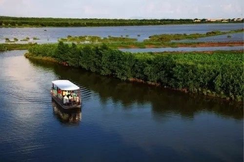 美得不像样子！广州秋季“花潮”来袭，你最想和谁一起看