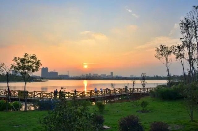 美得不像样子！广州秋季“花潮”来袭，你最想和谁一起看