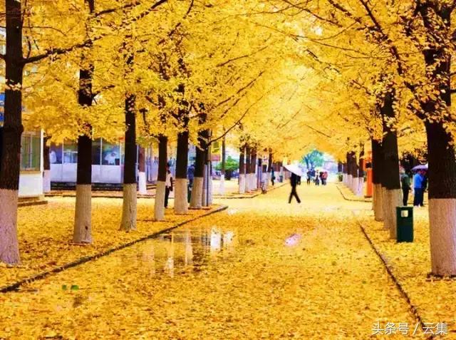 不出辽宁去哪里玩最好,不出沈阳市也能玩得很开心