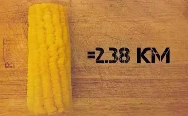 吃什么可以掉脂肪掉得快,吃了很多东西运动有用吗