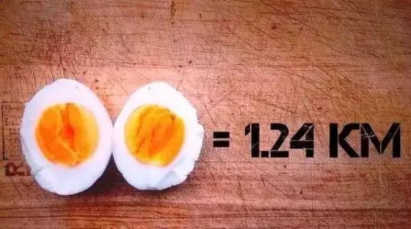 吃什么可以掉脂肪掉得快,吃了很多东西运动有用吗