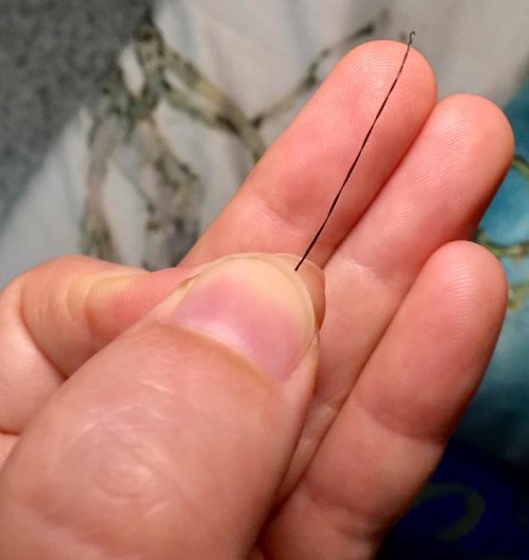 怎么样自己给狗疏通鼻泪管,养狗小妙招小技巧大全