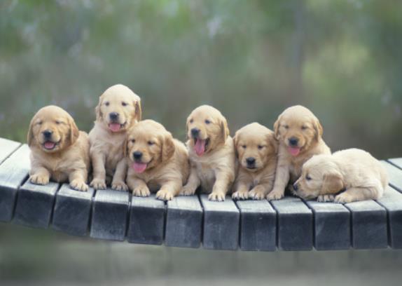 photoshop调整曲线教程,photoshop曲线技巧和修图教程