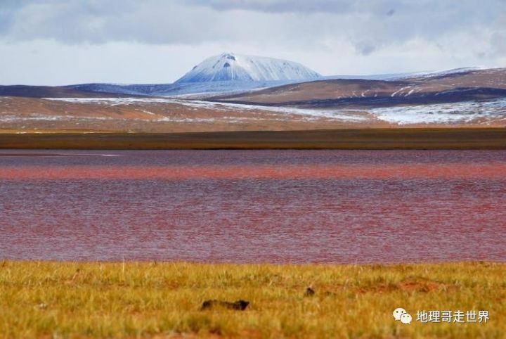 最后的藏北无人区,藏北无人区旅游