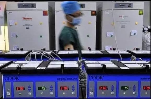 人工授精的原理是什么样的,人工授精由来