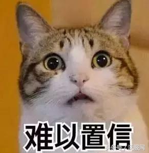 合肥自己交医保社保多少钱,在合肥代缴社保异地就医