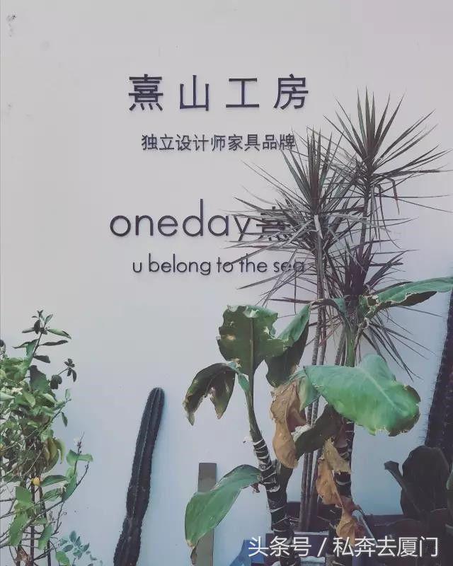 厦门民宿厦门慢生活雅厝别苑,厦门索居奢野villa海景民宿