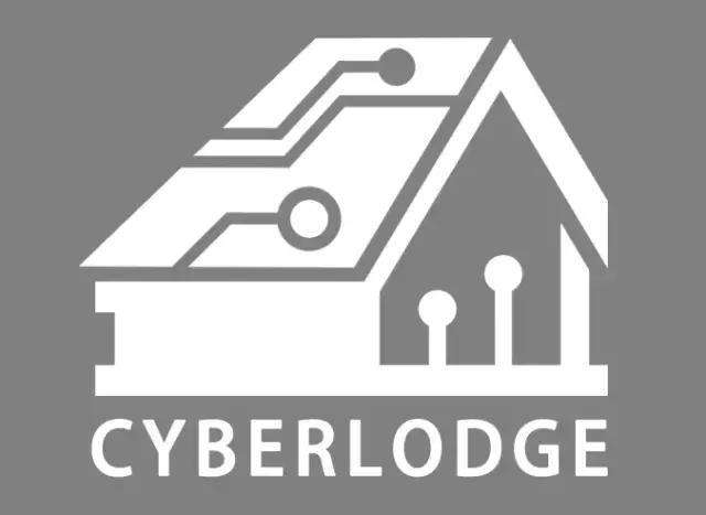 呆呆大冒险游戏,呆呆大冒险攻略图文