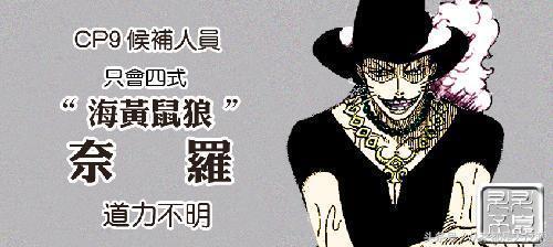 海贼王有多少人出场,海贼王一共出现了多少个人物