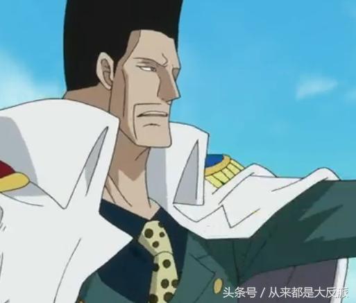 海贼王有多少人出场,海贼王一共出现了多少个人物