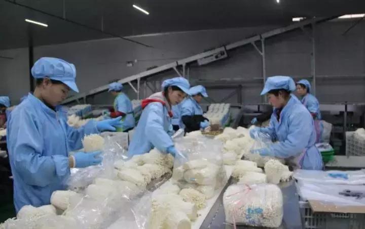 小县城与大城市未来发展,小县城和大城市发展