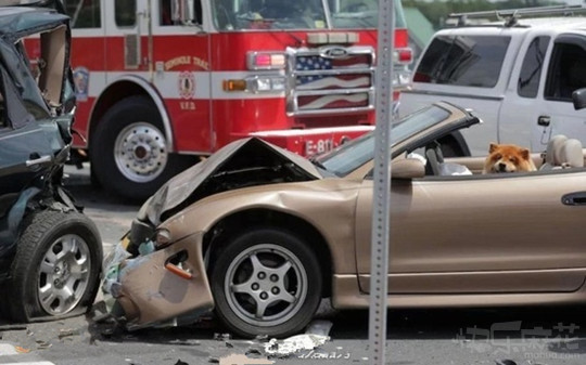 有一个特别搞笑的女生段子,爆笑段子女孩