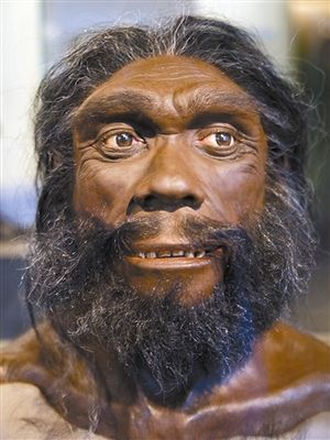 猿变人的原因,人类进化史的猿类是怎么来的