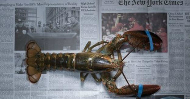国际消除贫困日，用食物为你展现看得见的“穷”