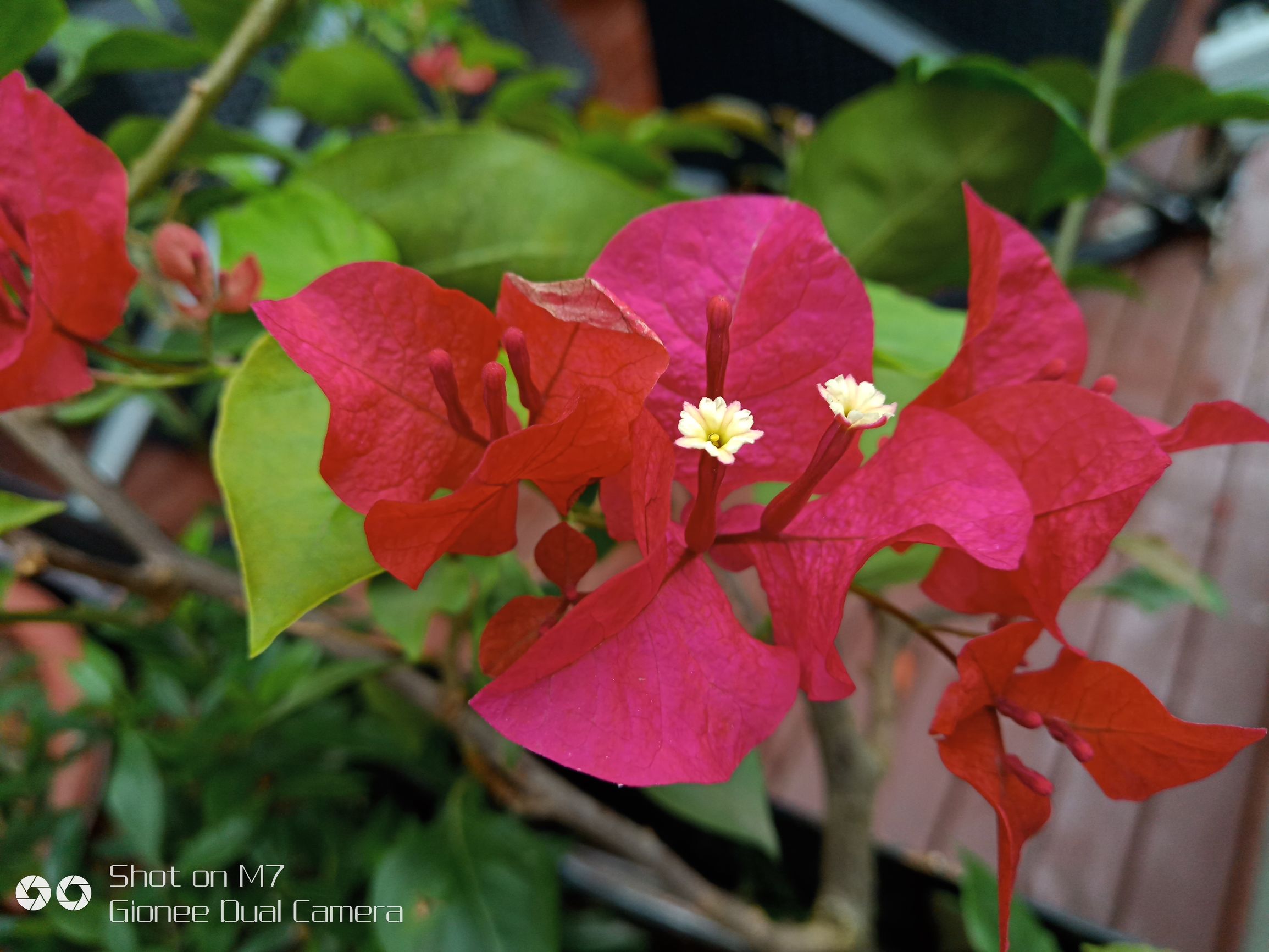 金立m7评测完整版,金立m7测评