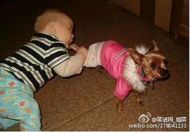 超级搞笑图片二十张不信你不笑,搞笑的图片笑到肚子痛