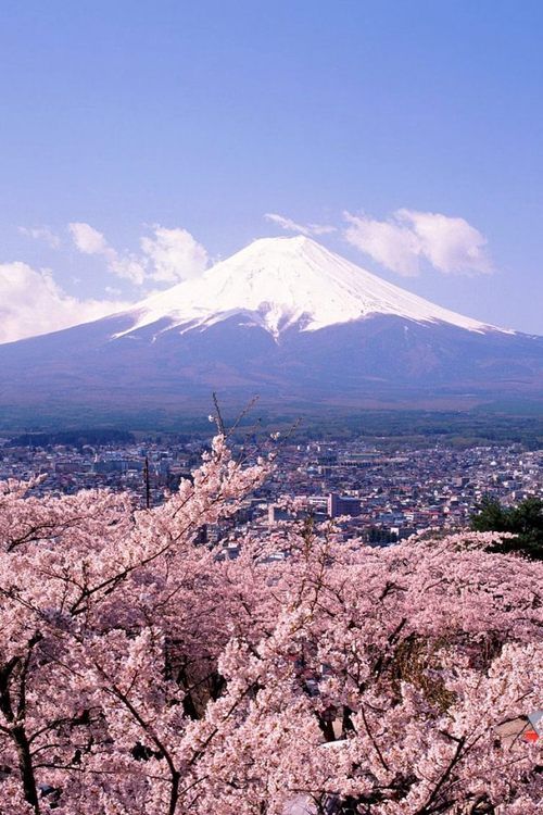 想去日本完全不懂怎么说,想去日本东京但是不会日语怎么办