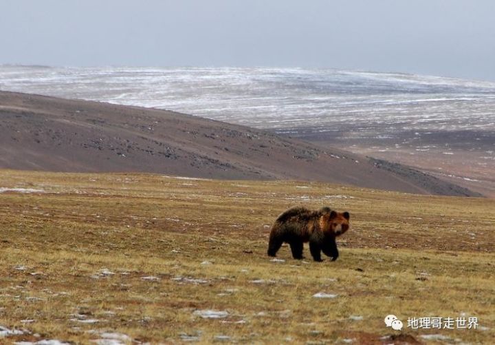 最后的藏北无人区,藏北无人区旅游