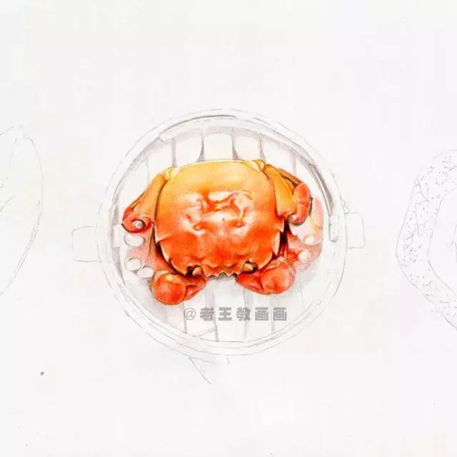 真正的螃蟹不知道怎么画吗,真正的螃蟹是怎么画的