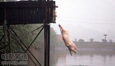 那些幽默的极品搞笑段子,幽默搞笑段子发财最快的