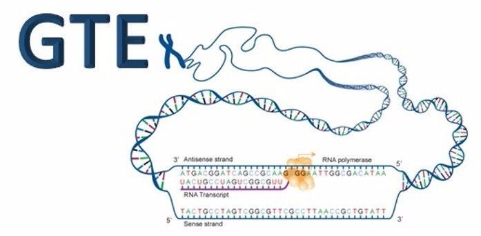 自然杂志最新人类基因研究,自然杂志最新研究