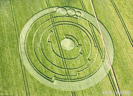 麦田怪圈为什么没有人造,麦田怪圈是外星人制造还是人造
