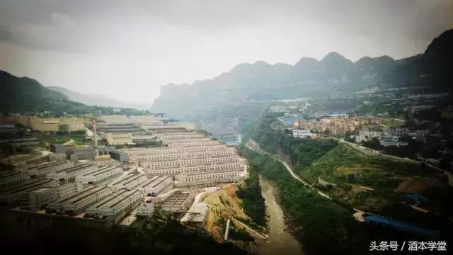 四川国宝郎酒,四川酒业六朵金花是哪六朵