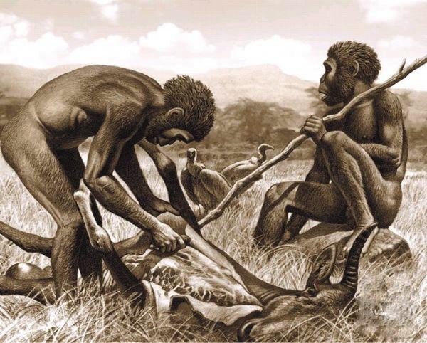 猿变人的原因,人类进化史的猿类是怎么来的